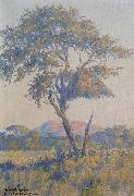 unknow artist Landscape in Namibia France oil painting artist